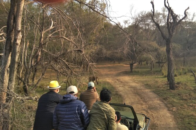Ranthambore National Park - The value of a $34.96 shared safari