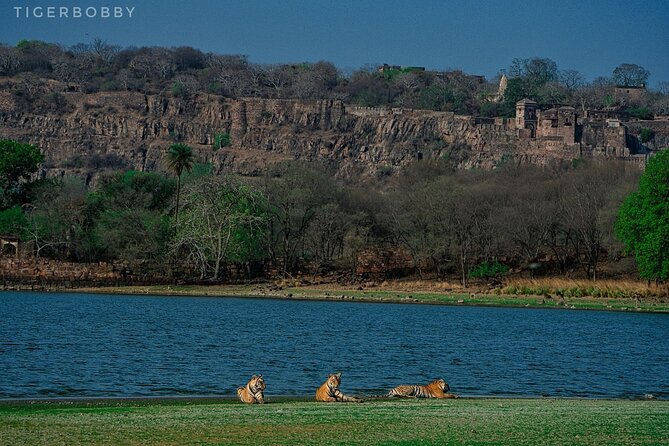 Ranthambore National Park - Who will enjoy this Ranthambore outing