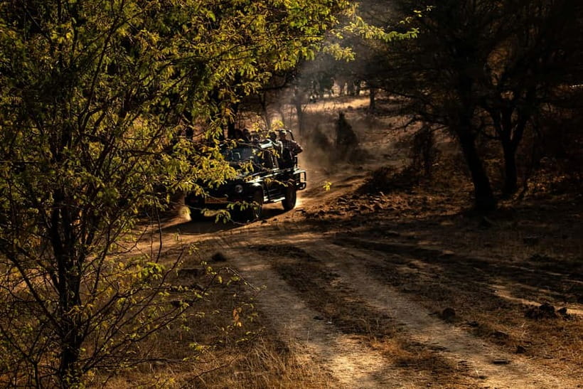 Ranthambore National Park: Safari Ticket with Pickup Option - How good is the guide?