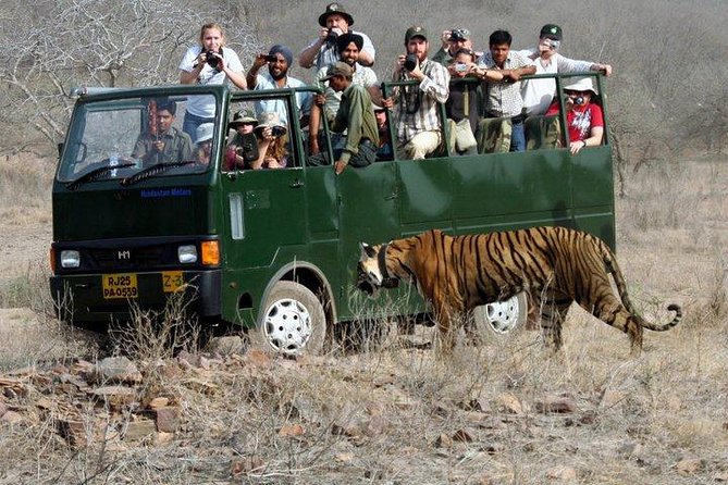 Ranthambore Wildlife Safari with Tickets & Transfer Options - Entering Ranthambore National Park