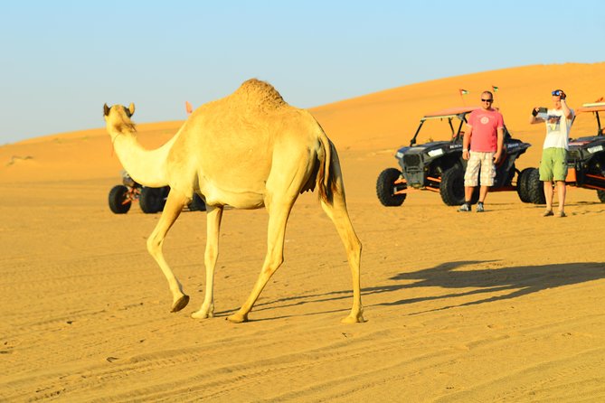 Ras Al Khaimah: Afternoon Desert Safari and BBQ Dinner - Timing, communication, and comfort