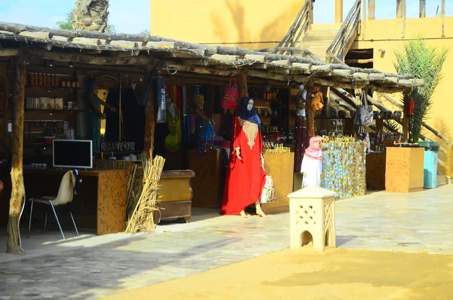 Ras Al Khaimah: Afternoon Desert Safari and BBQ Dinner - Who should book this Ras Al Khaimah safari?