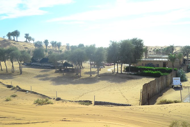 Ras Al Khaimah: Afternoon Desert Safari and BBQ Dinner - The camel farm stop