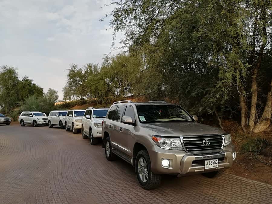 Ras Al Khaimah: Half-Day Desert Safari with Dinner - What the $54 price really covers