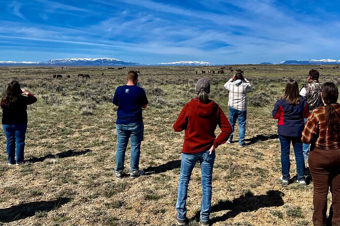 Red Canyon Wild Mustang Tours And Safaris In Cody Wyoming - Stories that give the ride purpose