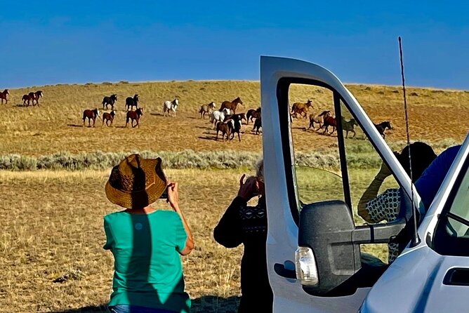 Red Canyon Wild Mustang Tours And Safaris In Cody Wyoming - How much value do you get for $89?