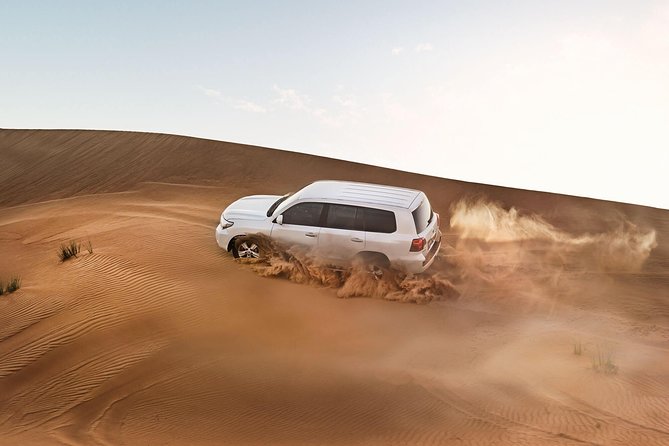 Red Dune Desert Safari with BBQ Dinner, Sand Boarding Dance Shows - Sandboarding and the high-dune photo stop