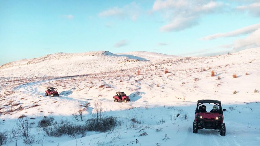 Reykjavik: Buggy Safari Tour with Hotel Transfers - What the 2.5-hour schedule really means