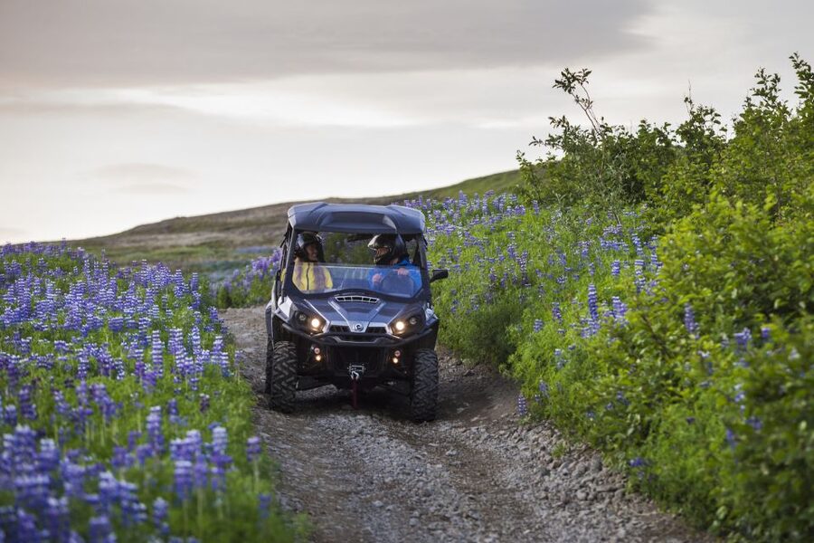 Reykjavik: Buggy Safari Tour with Hotel Transfers - Sharing a buggy with your riding partner