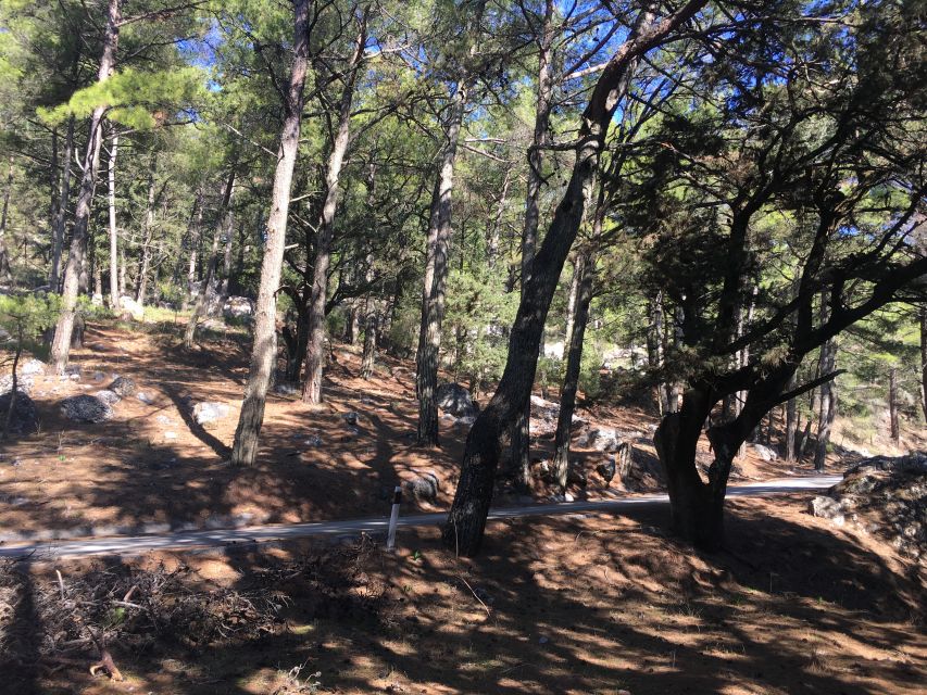 Rhodes: Full–Day 4WD Northern Safari Tour - Why the 4x4 route shows a different Rhodes