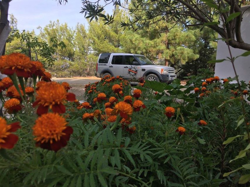 Rhodes: Full–Day 4WD Northern Safari Tour - Who should book this Rhodes safari