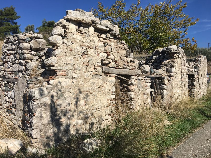 Rhodes: Full–Day 4WD Northern Safari Tour - Viewpoints across eastern, northern, and western Rhodes
