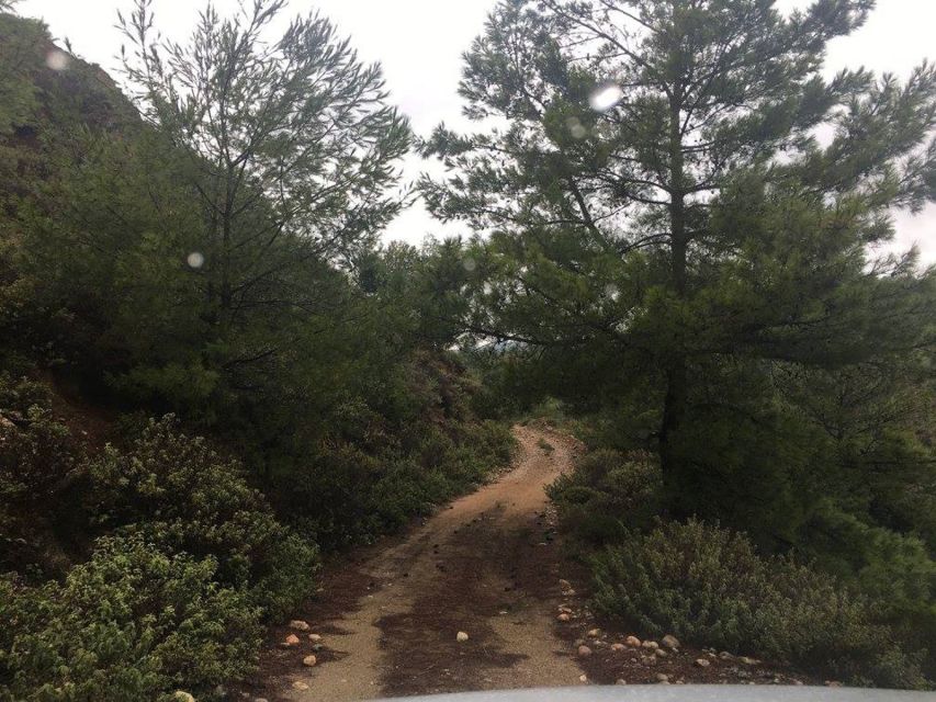 Rhodes: Full–Day 4WD Northern Safari Tour - The easier ride back to your hotel