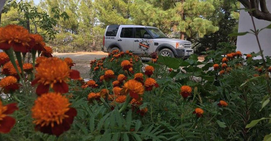 Rhodes: Full–Day 4WD Northern Safari Tour - What the $135 price buys you