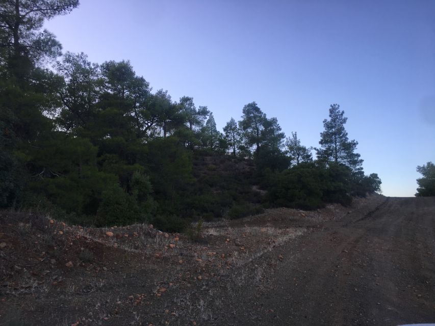 Rhodes: Full-Day 4WD Southern Safari Tour - Who should book, and who should skip it