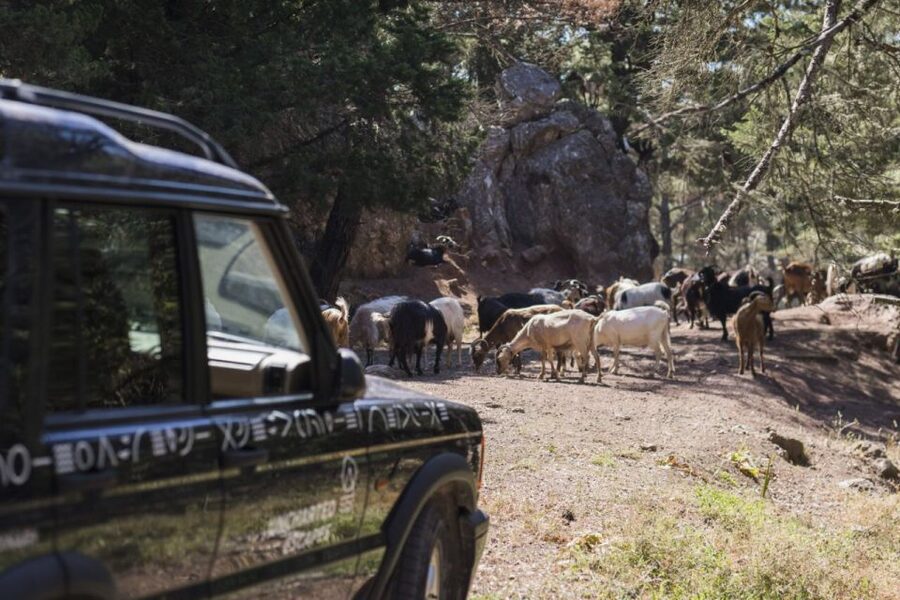 Rhodes: Full-Day 4WD Southern Safari Tour - Laerma and the quiet Monastery of Artamitis