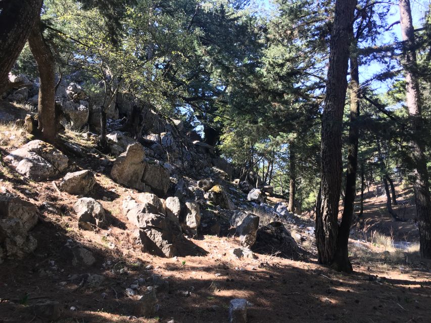 Rhodes North Safari: Hidden Paths & Scenic Flavors - The morning pickup and the first rough roads