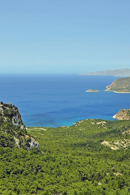 Rhodes: Self Drive 4x4 safari - Pick ups South - Profilia, vineyards, and the road to Monolithos