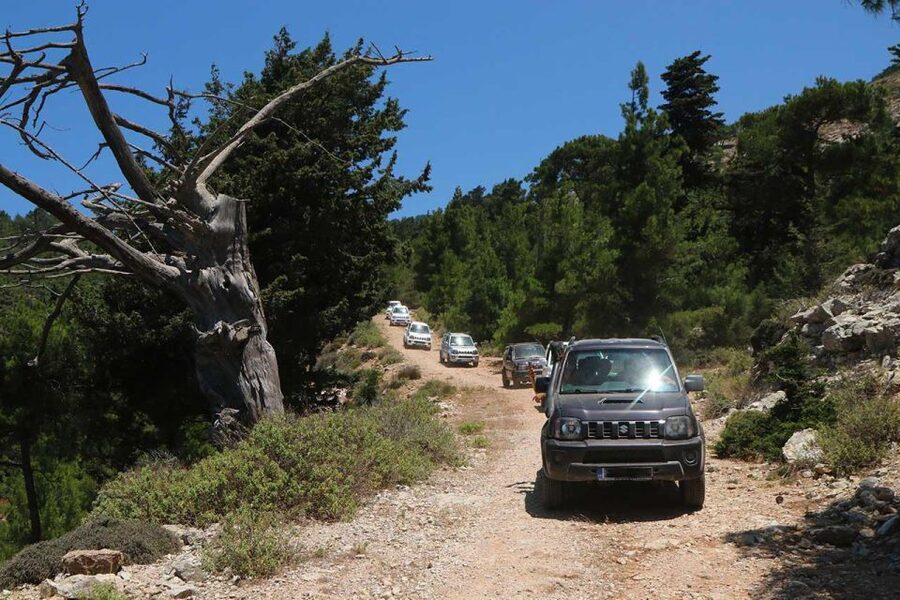 Rhodes: Self-Drive 4x4 Safari Tour with North Pickup - The self-drive setup and guide support