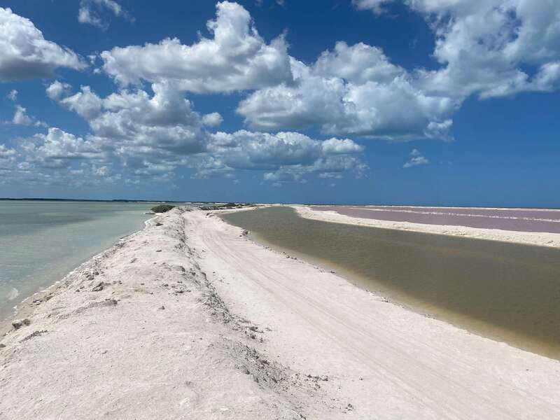 Rio Lagartos and Las Coloradas: EcoSafari Flamingo classic - Key points to know before you book