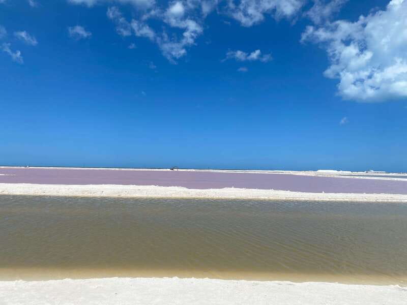 Rio Lagartos and Las Coloradas: EcoSafari Flamingo classic - A fast, full tour of Río Lagartos