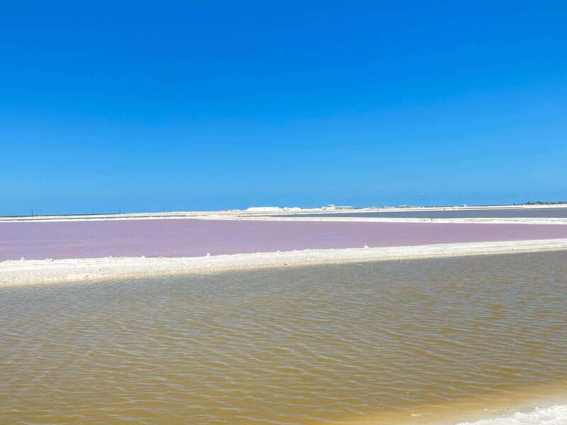 Rio Lagartos and Las Coloradas: EcoSafari Flamingo classic - The Mayan clay bath
