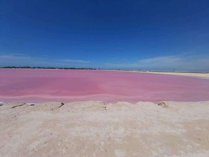 Rio Lagartos and Las Coloradas: Safari Flamingo Luxury - Key points at a glance