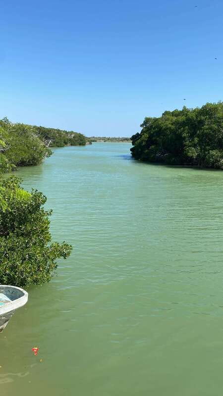 Rio Lagartos and Las Coloradas: Safari Flamingo Luxury - Crocodiles in their natural habitat
