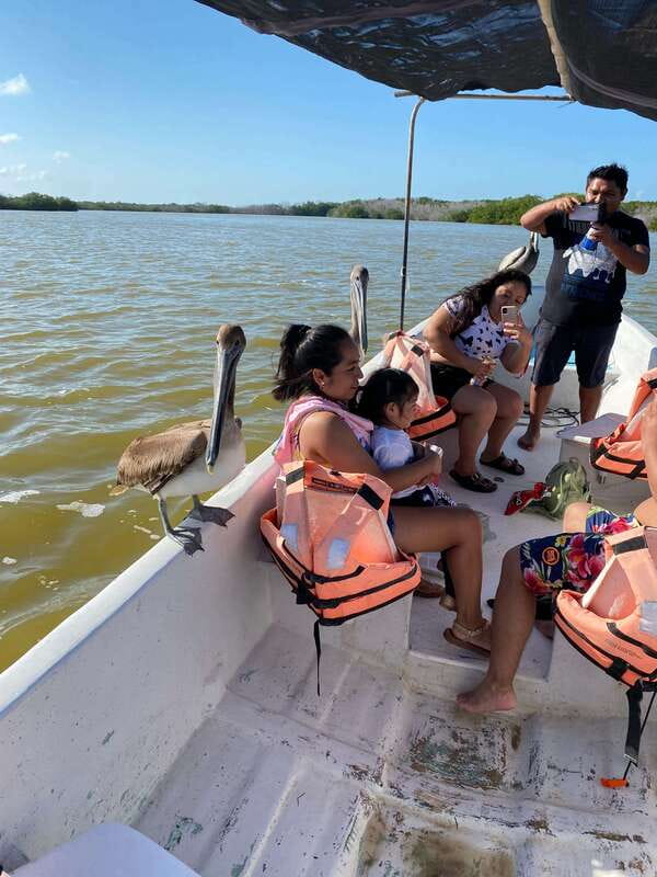 Rio Lagartos and Las Coloradas: Safari Flamingo Luxury - Las Coloradas and the changing pink water