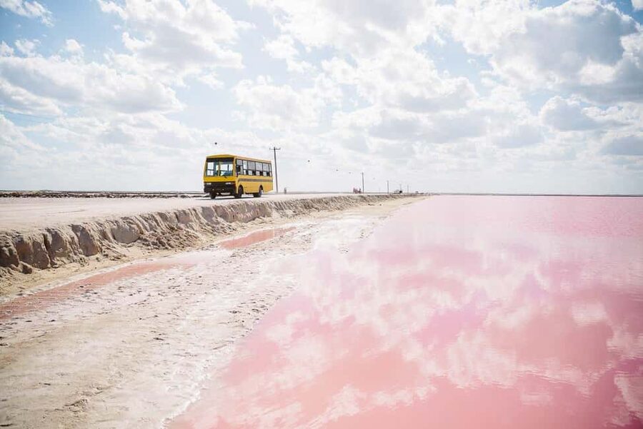 Rio Lagartos and Las Coloradas: Safari Flamingo Luxury - A swim on a Gulf beach