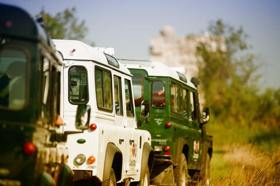 Safari 4x4 in Camargue / VIP Tour 3h30 / Grau du Roi - Seeing the Camargue from a four-wheel drive