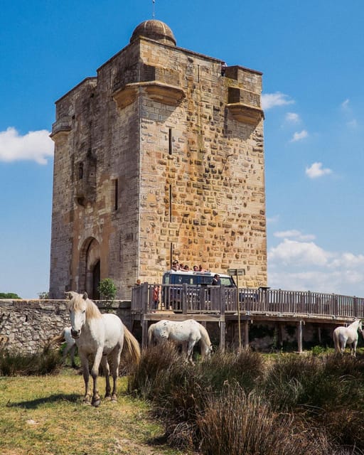 Safari 4x4 in Camargue / VIP Tour 3h30 / Grau du Roi - What the private format means for your group