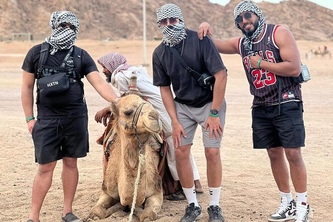 Safari 5 in 1 Quads, Camels, Show, Dinner & Star Gazing in Sharm El Sheikh - Quad biking on Sinai dirt tracks