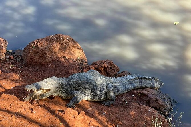 safari at the bandia reserve - Who will enjoy this experience most