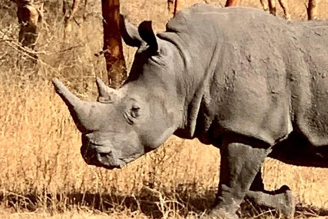 safari at the bandia reserve - Practical details that affect your day