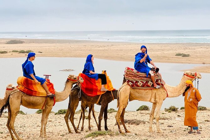 Safari Camel Ride in Banana Beach from Agadir - Key points to know before booking