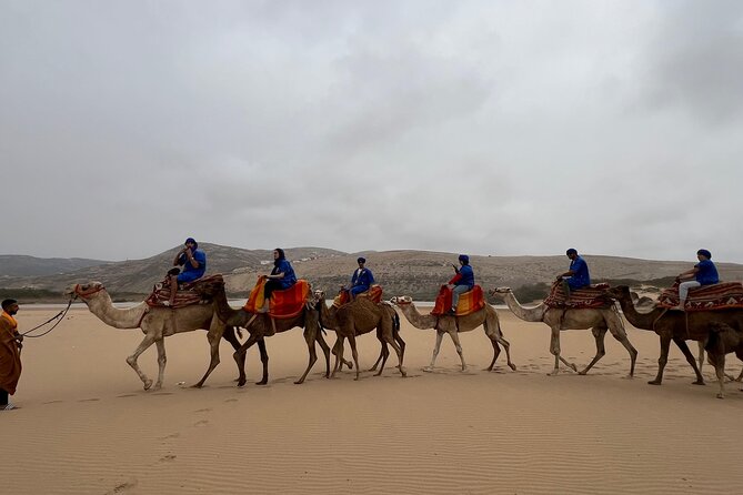 Safari Camel Ride in Banana Beach from Agadir - Leaving Agadir for Ranch Tamri