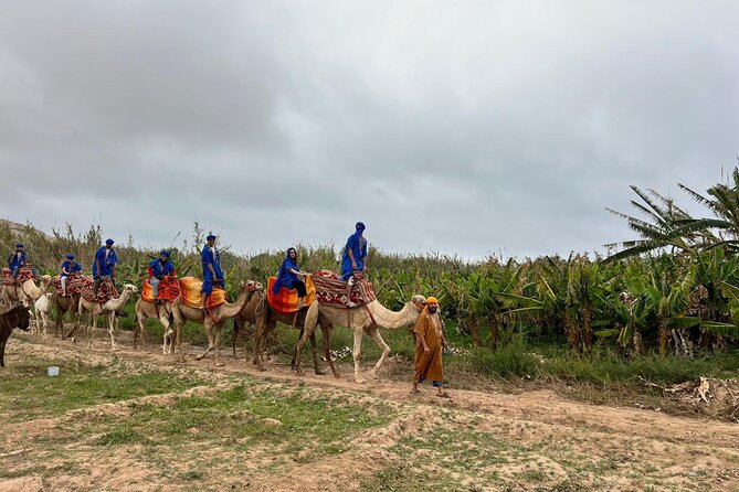 Safari Camel Ride in Banana Beach from Agadir - Who will enjoy this ride most