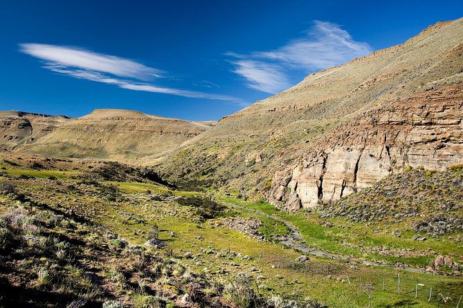 SAFARI EXPERIENCE - WILDLIFE & STEPPE - Leaving El Calafate for the Patagonian steppe
