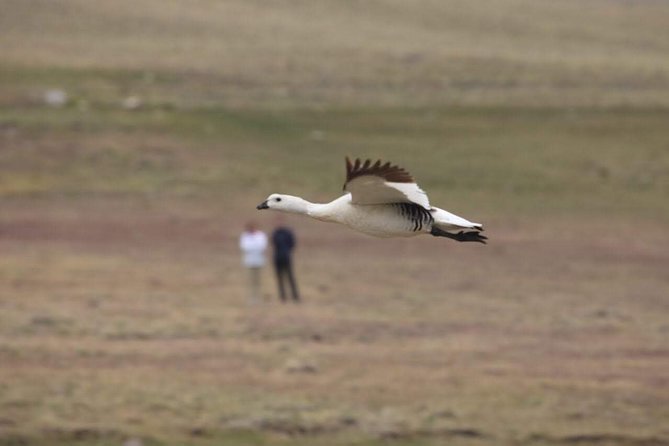 SAFARI EXPERIENCE - WILDLIFE & STEPPE - Fossilized oysters and the age of the steppe