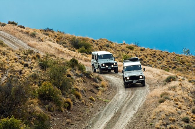 SAFARI EXPERIENCE - WILDLIFE & STEPPE - Searching for wildlife across open country