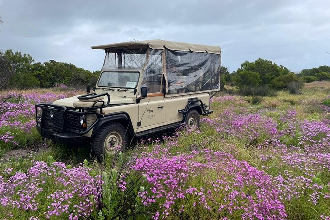 Safari Game Drive - Yzerfontein - The salt-pan break halfway through