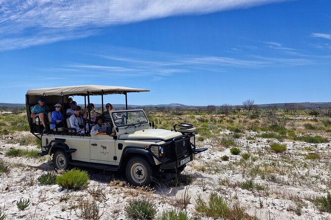 Safari Game Drive - Yzerfontein - What you may see inside the reserve