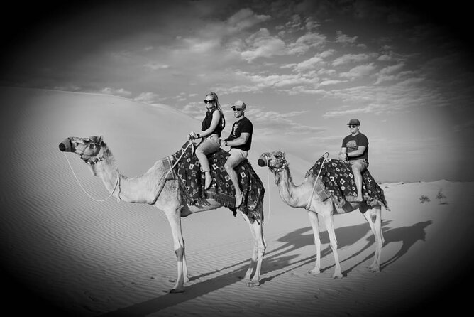 Safari Half-Day Adventure from Abu Dhabi - Camel farm visit and short camel ride