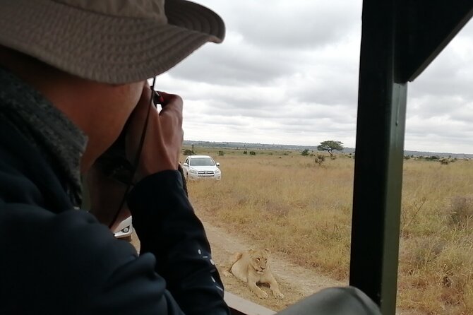 Safari In Nairobi Kenya National Park Half day Tour - The open-roof van is useful, with a few limits