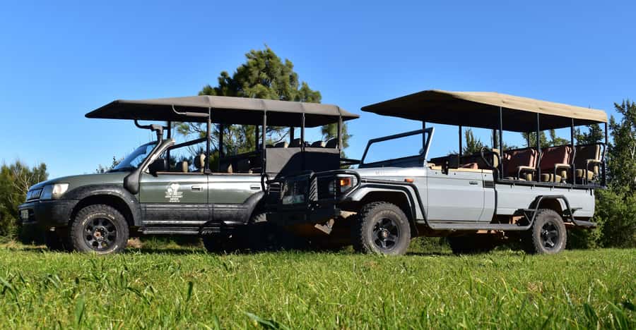Safari into Schotia Half Day Tour - Getting started with Sundays River Adventures