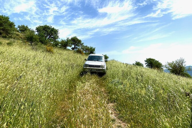 Safari Jeep Wild Adventure - A guide-led look at nature and local life