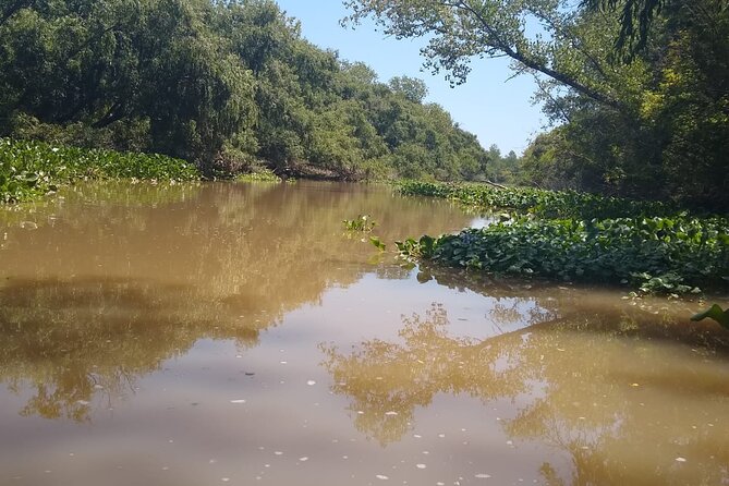 Safari náutico en tigre - From Buenos Aires to the Río de la Plata