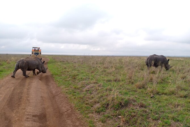 Safari Tour; Nairobi National Park - Booking and cancellation details worth noting