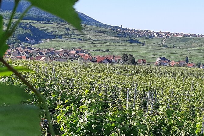 Safari-Tour Villages and vineyard, 1/2 day afternoon - Eguisheim: a quick introduction to an Alsatian wine village